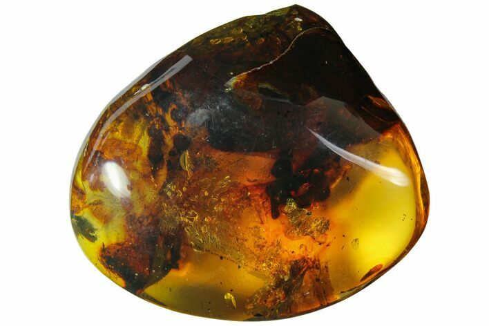 Polished Chiapas Amber ( g) - Mexico #114795